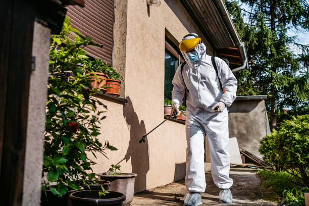 Best Pest Prevention Services  in Rmichael, CA